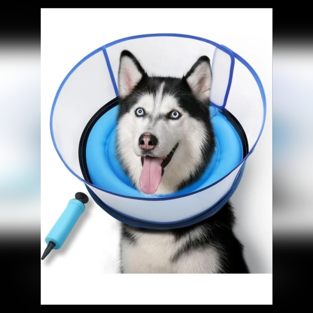 Inflatable Dog Cone Size Large